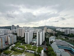Blk 293C Skypeak @ Bukit Batok (Bukit Batok), HDB 5 Rooms #582925091